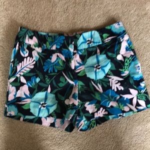 Ladies shorts loft